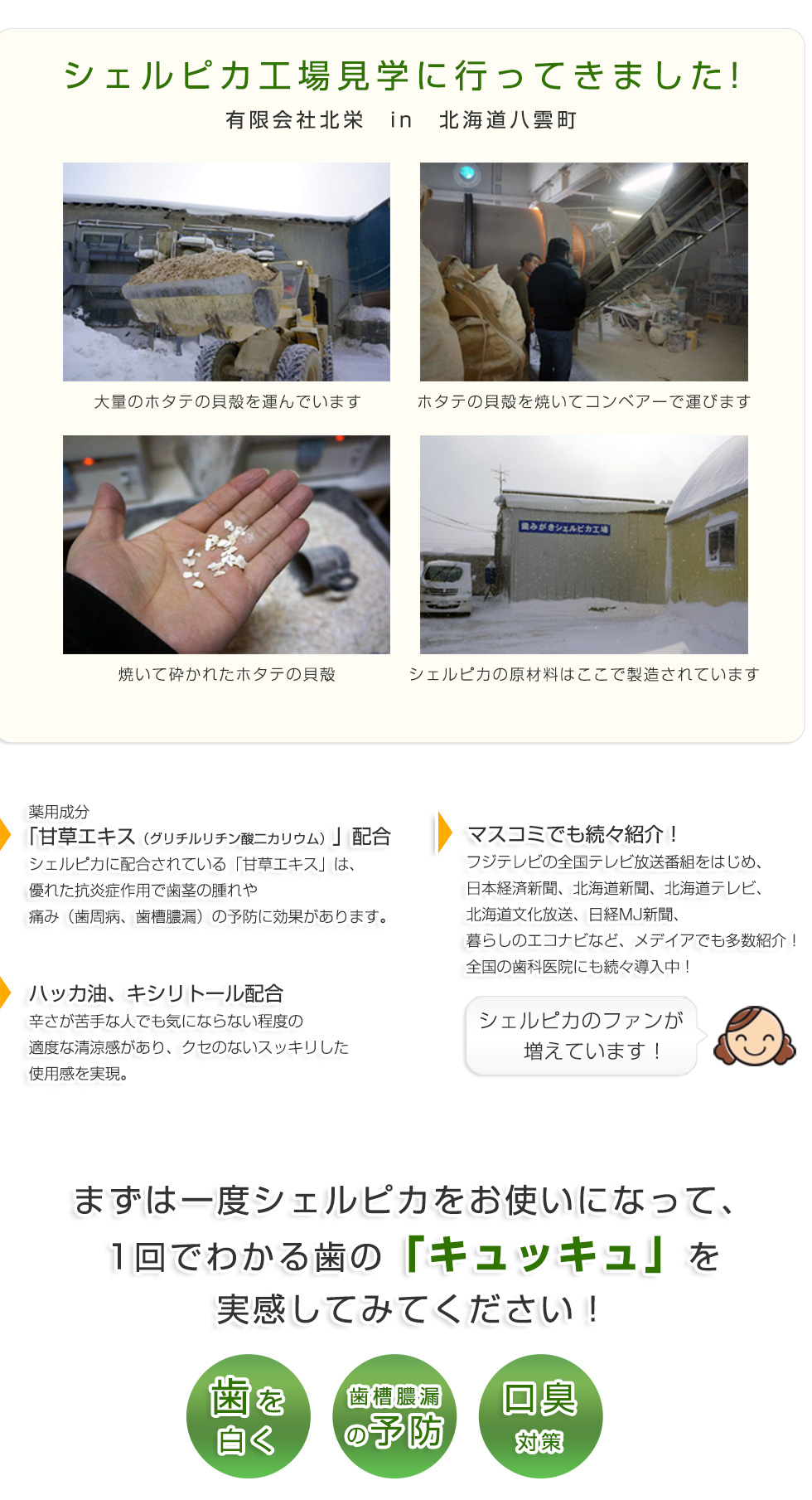 シェルピカ