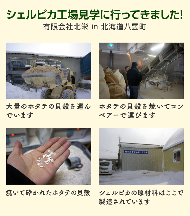 シェルピカ