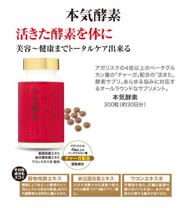 本気酵素