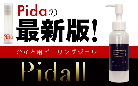 Pidaの最新版PidaⅡ